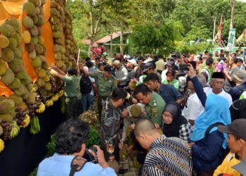 Desa Wates Batang Rintis Sentra Durian Musang King