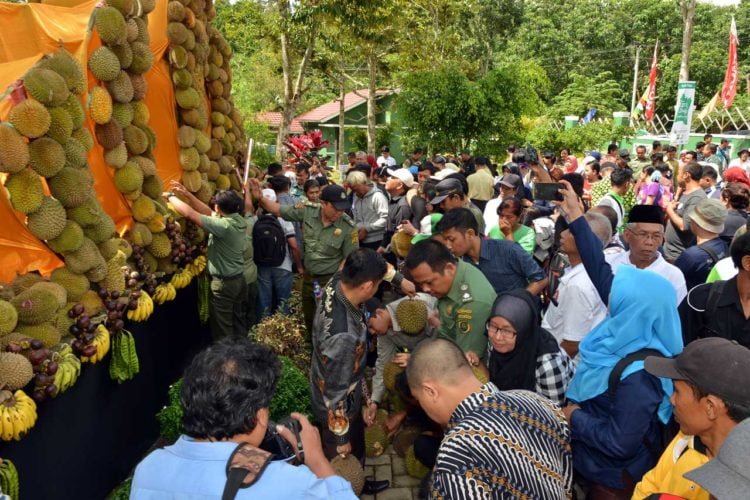 Desa Wates Batang Rintis Sentra Durian Musang King