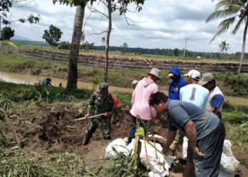 TIMBUN TANGGUL. Sejumlah petani bersama babinsa Desa Pematangbaru, Kecamatan Palas, Lampung Selatan, bergotong royong menimbun tanggul penangkis yang nyaris jebol akibat terkikis luapan Way Pisang beberapa hari lalu, Minggu (2/2). LAMPUNG POST/ARMANSYAH