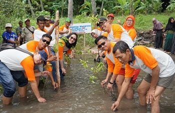 TANAM BAKAU. PT Indofood CBP Sukses Makmur Cabang Lampung menanam 1.000 pohon bakau di daerah wisata hutan Petengoran Gebang, Desa Gebang, Kecamatan Telukpandang, Pesawaran, Sabtu (1/2).
n DOKUMENTASI INDOFOOD CBP