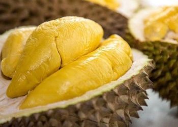 ilustrasi google images