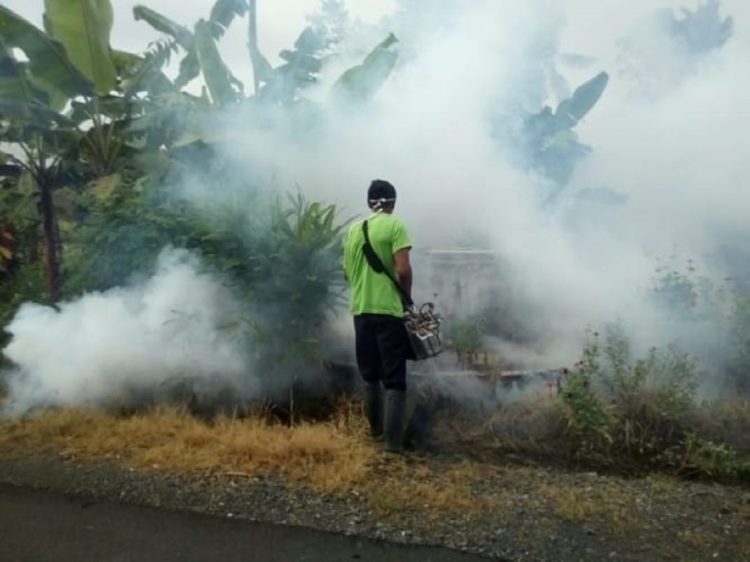 FOGGING. Petugas melakukan fogging untuk membasmi nyamuk Aedes aegypti di Desa Tanjungjaya, Kecamatan Palas, Lampung Selatan, Jumat (31/1).(LAMPUNG POST/ARMANSYAH)