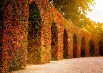 Gergaji Besi dari Keluarga Tahanan