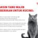 Hewan peliharaan perlu divaksin untuk menghindari penyakit. (DOK.FB)