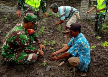 TANAM KELOR. Beberapa anggota Koramil Palas, Lampung Selatan, bersama masyarakat menanam tanaman kelor di Dusun Pemanukan, Desa Tanjungsari, Kamis (5/3). LAMPUNG POST/ARMANSYAH