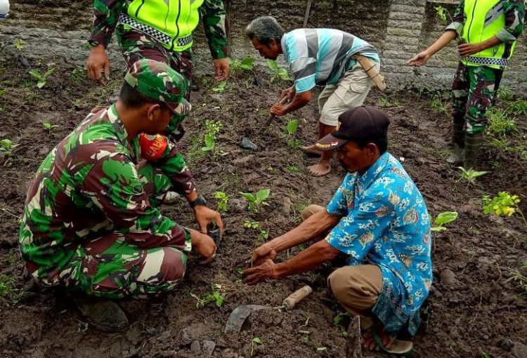 TANAM KELOR. Beberapa anggota Koramil Palas, Lampung Selatan, bersama masyarakat menanam tanaman kelor di Dusun Pemanukan, Desa Tanjungsari, Kamis (5/3). LAMPUNG POST/ARMANSYAH