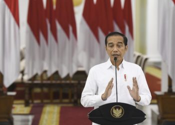 Presiden Joko Widodo. (ANTARA/ HAFIDZ MUBARAK A)