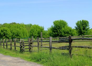 Ilustrasi:_Alicja_/pixabay.com