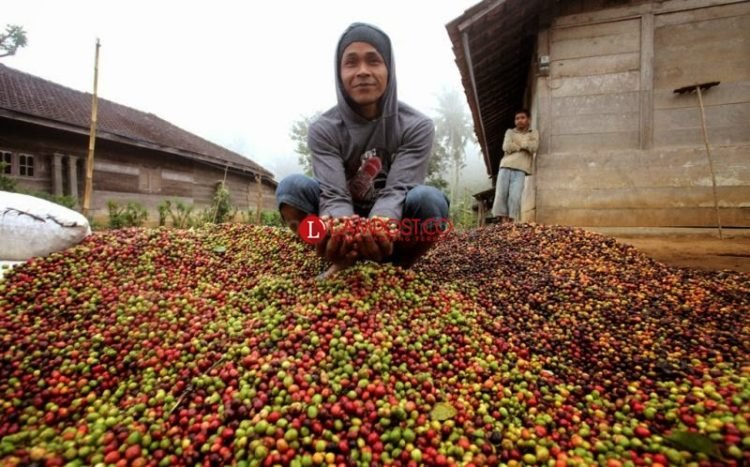 Foto dok Lampung Post