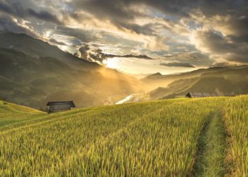 Ilustrasi:Quangpraha/Pixabay.com