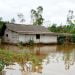TERENDAM BANJIR. Satu rumah di Kampung Andalascermin, Kecamatan Rawapitu, Tulangbawang, terendam banjir, Senin (27/4). n LAMPUNG POST/FERDI IRWANDA