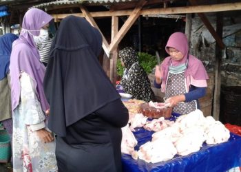 Harga Ayam Potong Berangsur Turun