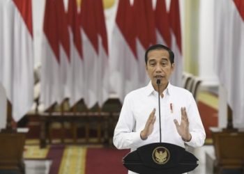 Presiden Joko Widodo. (Foto: Antara/Hafidz Mubarak A)