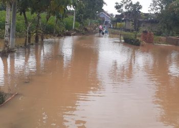BANJIR. Sikon desa di Tanjungharapan, Lampung Utara, yang dilanda banjir, Rabu(15/4).