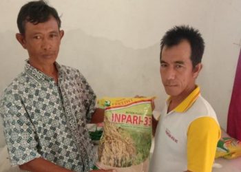 Ketua Gapoktan Sidomakmur Desa Bangunan, Kecamatan Palas, Lampung Selatan, Nanang Rafe'i kembali salurkan bantuan bibit padi kepada Poktan di kediamannya, Senin (20/4/2020). Foto: Dok