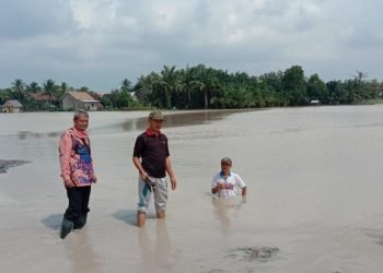 TERENDAM. Lahan pertanian dan jalan utama Desa Bumiasri, Kecamatam Palas, Lampung Selatan, terendam akibat hujan semalaman, Jumat (12/6). LAMPUNG POST/ARMANSYAH