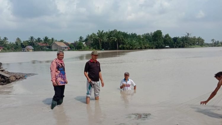 TERENDAM. Lahan pertanian dan jalan utama Desa Bumiasri, Kecamatam Palas, Lampung Selatan, terendam akibat hujan semalaman, Jumat (12/6). LAMPUNG POST/ARMANSYAH