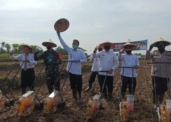 PENANAMAN JAGUNG. Wali Kota Metro Achmad Pairin dan Wakil Wali Kota Djohan melakukan penanaman jagung perdana secara simbolis, di Kelurahan Rejomulyo, Kecamatan Metro Selatan, Rabu (24/6). DOK PEMKOT METRO