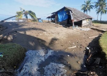 Sejumput Kisah Bertahan Hidup di Bibir Pantai
