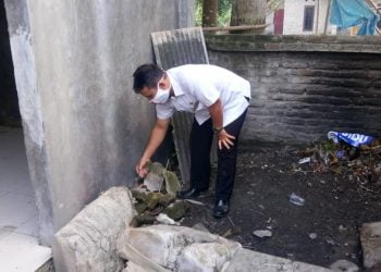 JUMANTIK. Suyadi (42), warga Dusun Ringinsari, Desa Bangunan, Kecamatan Palas, Lampung Selatan, yang merupakan juru pemantau jentik (jumantik) saat menumpahkan genangan air di setiap barang bekas di rumahnya, Rabu (10/6). Keberadaan jentik-jentik nyamuk sangat mengancam keselamatannya di tengah pandemi Covid-19 sekarang karena dapat memicu menimbulkan penyakit demam berdarah dengue (DBD) dan Covid-19 itu sendiri.
LAMPUNG POST/ARMANSYAH