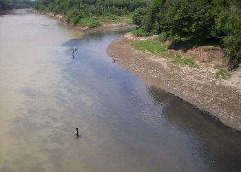 Ilustrasi. (MEDIA INDONESIA)