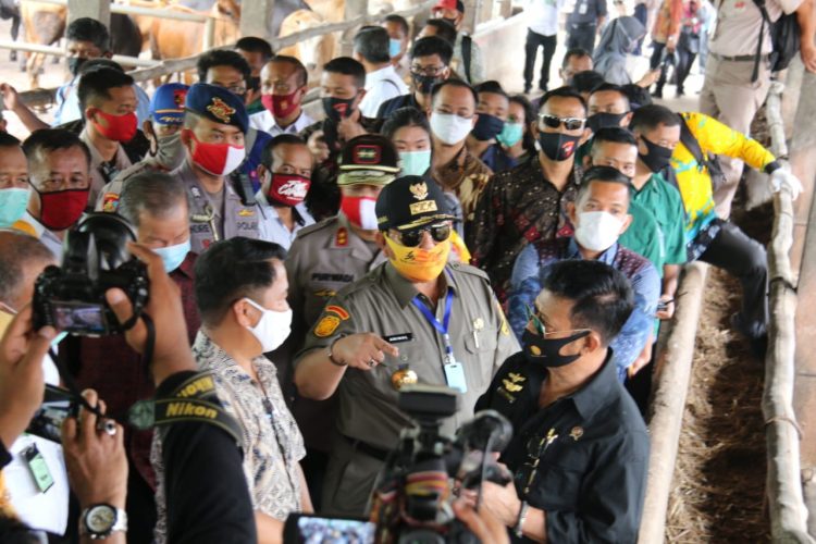 Menteri Pertanian Republik Indonesia, Syahrul Yasin Limpo bersama Gubernur Lampung Arinal Djunaidi dan rombongan mengunjungi lokasi Pembibitan dan Penggemukan Sapi di PT. Superindo Utama Jaya Kota Metro Provinsi Lampung, Jumat (19/6/2020). LAMPUNG POST/ SUKISNO