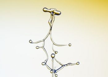 Ilustrasi: Pixabay.com