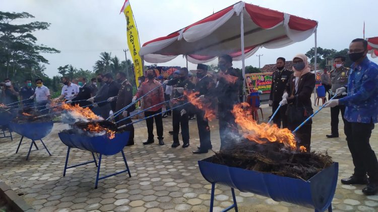 121 Kg Sabu-sabu Dibakar