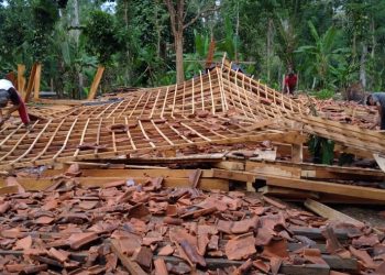 RUMAH ROBOH. Puting beliung menyebabkan rumah milik Saparyadi, warga Pemangku Way Heni, Pekon Penyandingan, Kecamatan Bangkunat, Pesisir Barat, roboh, Minggu (26/7). DOK WARGA