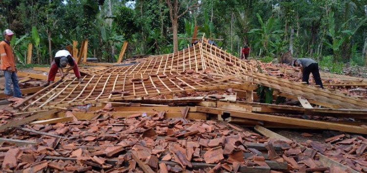 RUMAH ROBOH. Puting beliung menyebabkan rumah milik Saparyadi, warga Pemangku Way Heni, Pekon Penyandingan, Kecamatan Bangkunat, Pesisir Barat, roboh, Minggu (26/7). DOK WARGA