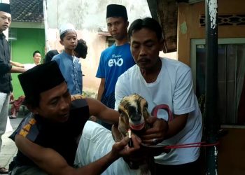 BERI LIPSTIK. Warga Kampung Talang Cikirai, Kelurahan Talang, Kecamatan Telukbetung Selatan, Bandar Lampung, memberikan lipstik kepada kambing yang akan disembelih, Jumat (31/7). n LAMPUNG POST/ANDI APRIYADI