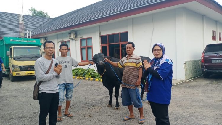 Pedagang Kurban Berharap Dagangan Habis