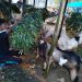 PENJUAL HEWAN KURBAN. Seorang pedagang kambing kurban memberi pakan di lapaknya di Jalan Sultan Agung, Way Halim, Bandar Lampung, Selasa (28/7). Harga kambing dijual mulai Rp1,2 juta—Rp5,5 juta per ekor. n LAMPUNG POST/SUKISNO