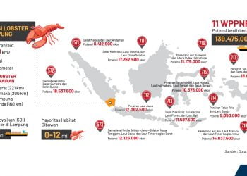 Dok Metro TV Lampung