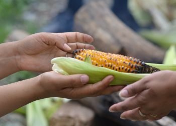 Ilustrasi: Pixabay.com