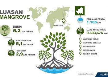 Dok Metro TV Lampung