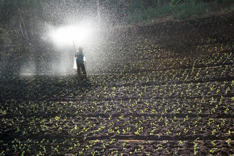 Ilustrasi: Pixabay.com