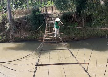MELINTASI JEMBATAN. Seorang warga terpaksa melintasi jembatan gantung yang putus yang mengakibatkan dua orang terluka pekan lalu di Dusun Sukarame, Desa Pulangpanggung, Kecamatan Abung Tinggi, Lampung Utara, Sabtu (29/8). Warga mengharapkan pemerintah setempat memperbaiki jembatan tersebut menjadi permanen agar tidak ada lagi korban dan akses masyarakat lebih mudah menuju kebun di mana jembatan tersebut penghubung utama warga mencari mata pencarian.
LAMPUNG POST/SALDA ANDALA