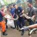 Ular Sanca Teror Warga Sepangjaya