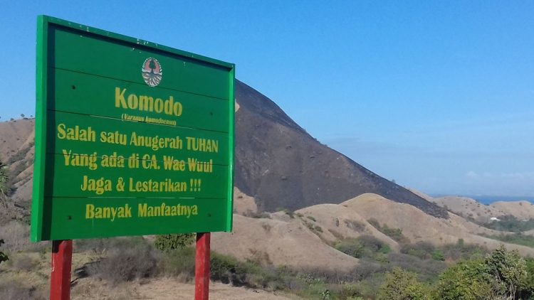 17 Hektare Habitat Komodo Liar Terbakar