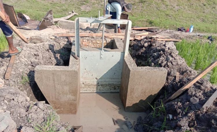 PASANG PINTU. Sejumlah petani di Desa Baktirasa, Kecamatan Sragi, Lampung Selatan, melakukan pemasangan pintu air di saluran tersier di areal persawahan desa setempat, Kamis (6/8). LAMPUNG POST/ARMANSYAH
