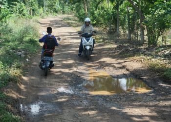 GAGAL DIBANGUN. Ruas jalan penghubung Desa Sidowaluyo—Sukamarga, Kecamatan Sidomulyo, Lampung Selatan, yang gagal dibangun. n LAMPUNG POST/PERDHANA WIBYSONO