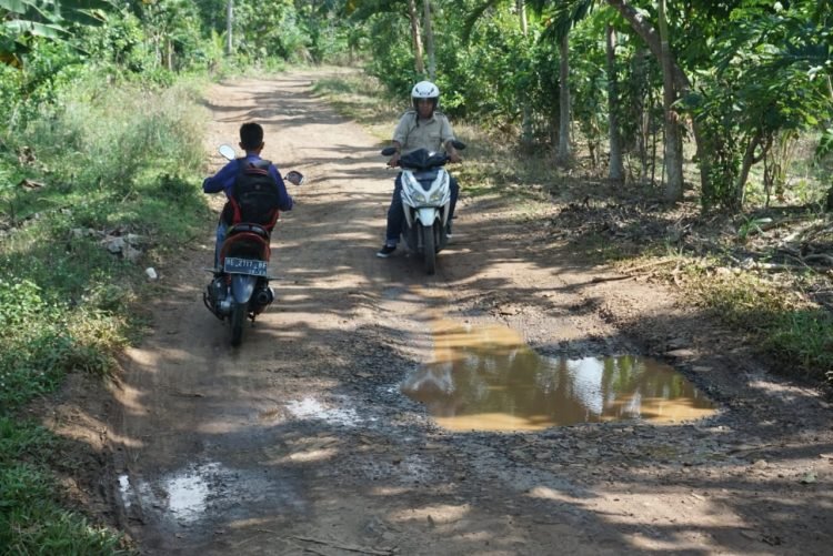 GAGAL DIBANGUN. Ruas jalan penghubung Desa Sidowaluyo—Sukamarga, Kecamatan Sidomulyo, Lampung Selatan, yang gagal dibangun. n LAMPUNG POST/PERDHANA WIBYSONO