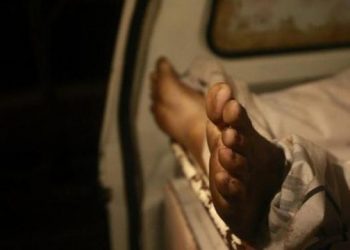 Pengendara Motor Tewas Tertimpa Kayu