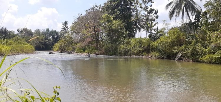 Warga melintas dialiran Way (sungai) Abung pasca ambruknya jembatan Gantung, Dusun Sukarame, Desa Pulau Panggung, Kecamatan Abung Tinggi, Rabu, 19 Agustus 2020. Lampung Post/Fajar Nofitra