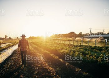 Ilustrasi: istockphoto.com