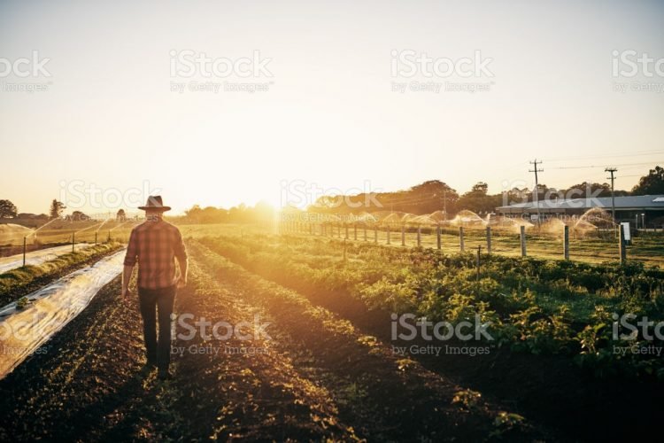 Ilustrasi: istockphoto.com