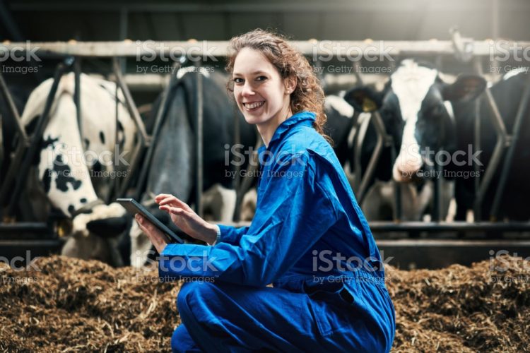 Ilustrasi: Pixabay.com