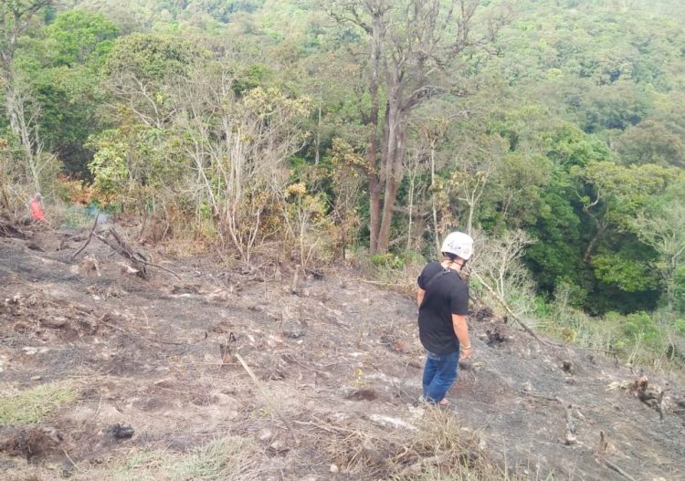 911 Ribu Hektare Lahan Kritis Berpotensi Timbulkan Bencana