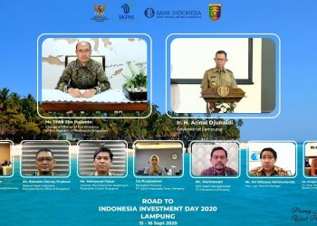 Lampung Incar Investor Lima Negara di IID